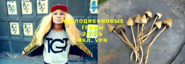 тгк Баксан