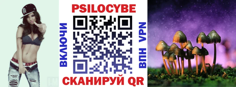 Псилоцибиновые грибы Psilocybe  Каспийск 