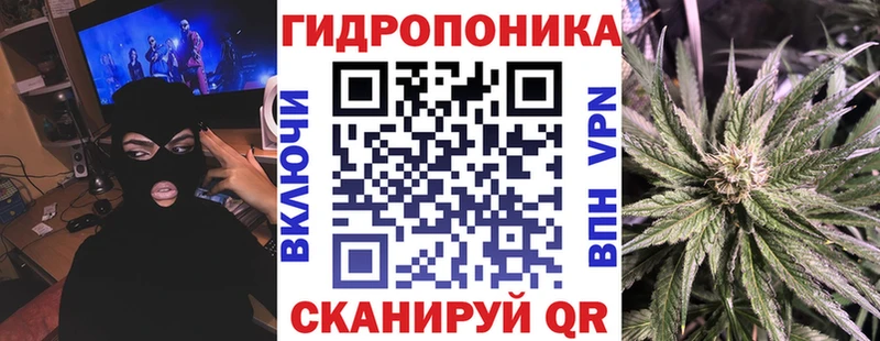 Каннабис гибрид Каспийск